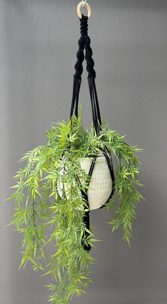 Plant Hangers